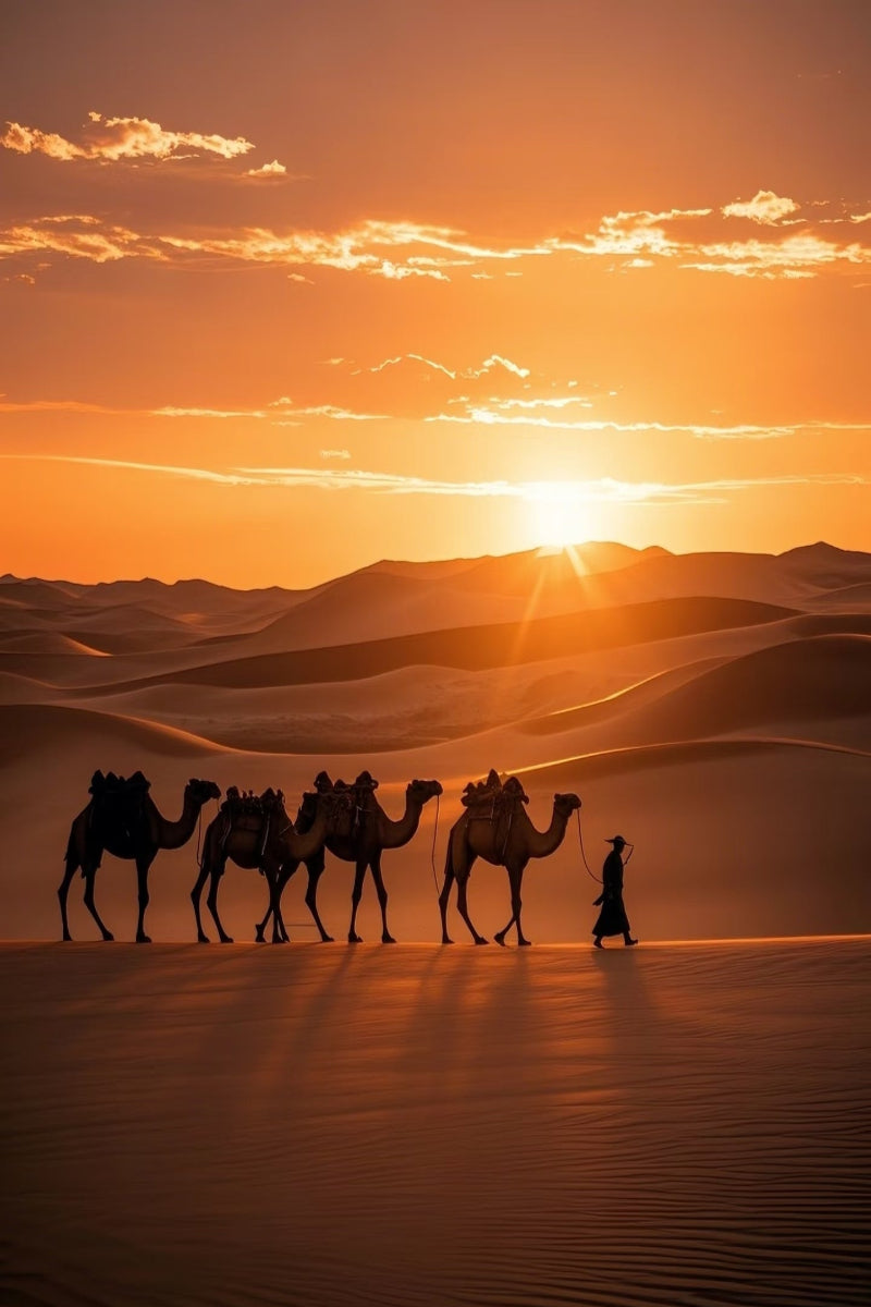 The Silk Road Epic: A 12-Day Journey Through Time from Xi'an to Kashgar
