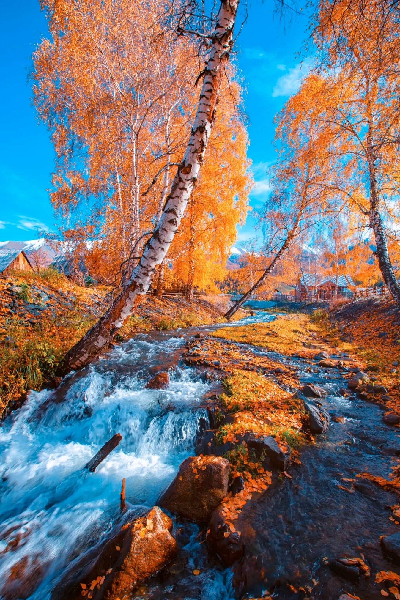 From Kanas Lake to Tuvan Villages: A 10-Day Winter Journey in Northern Xinjiang