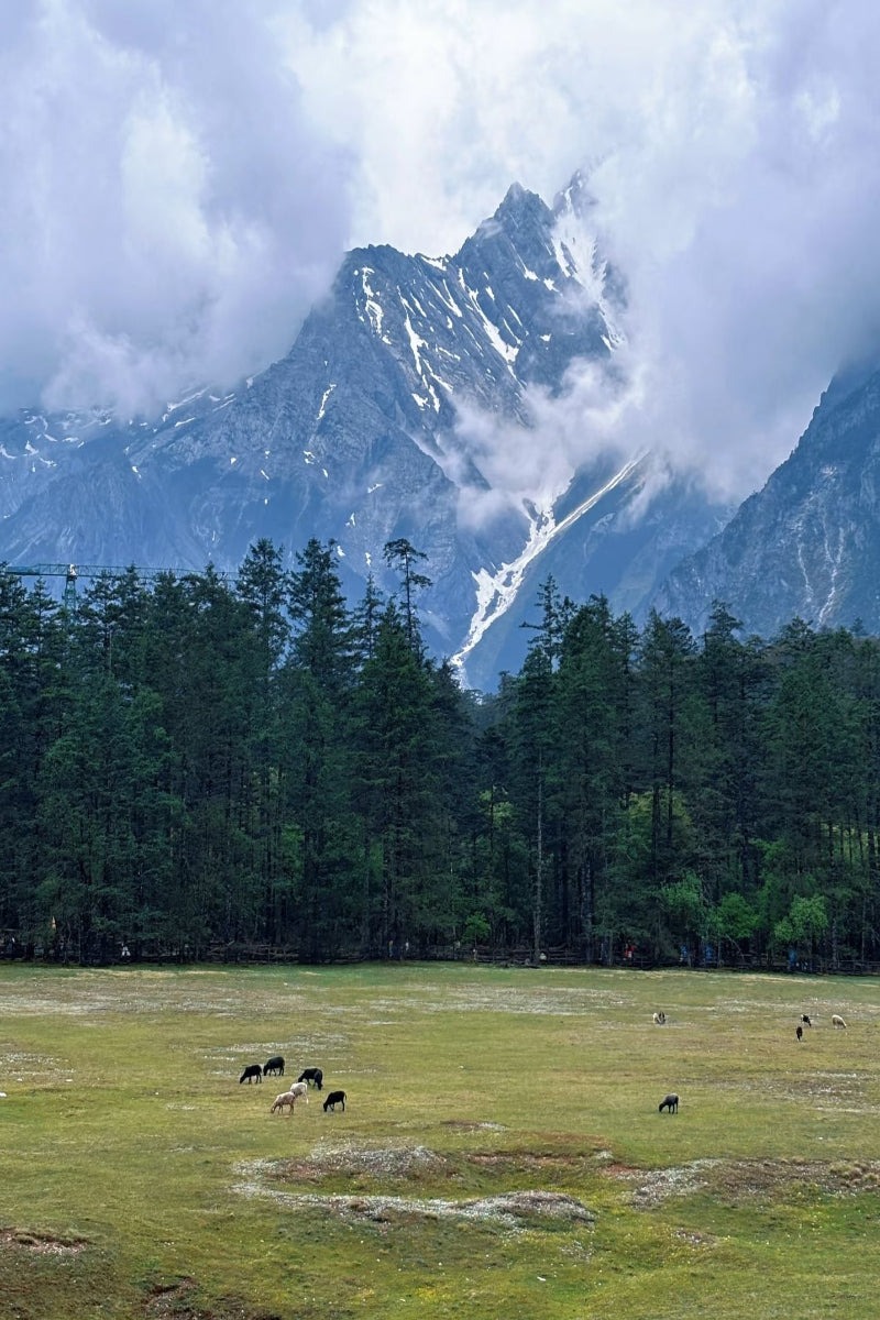 Western Sichuan: An Odyssey to the Roof of the World