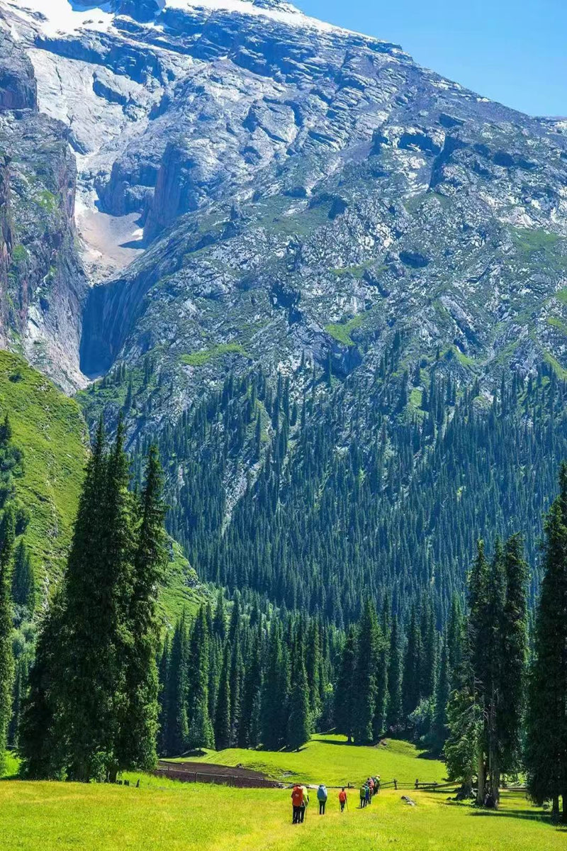 The Ultimate Wusun Trail: A 12-Day Trans-Tianshan Expedition