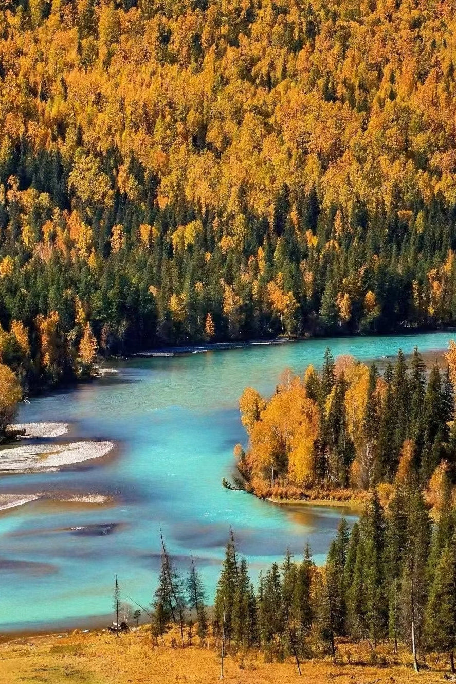 From Kanas Lake to Tuvan Villages: A 10-Day Winter Journey in Northern Xinjiang