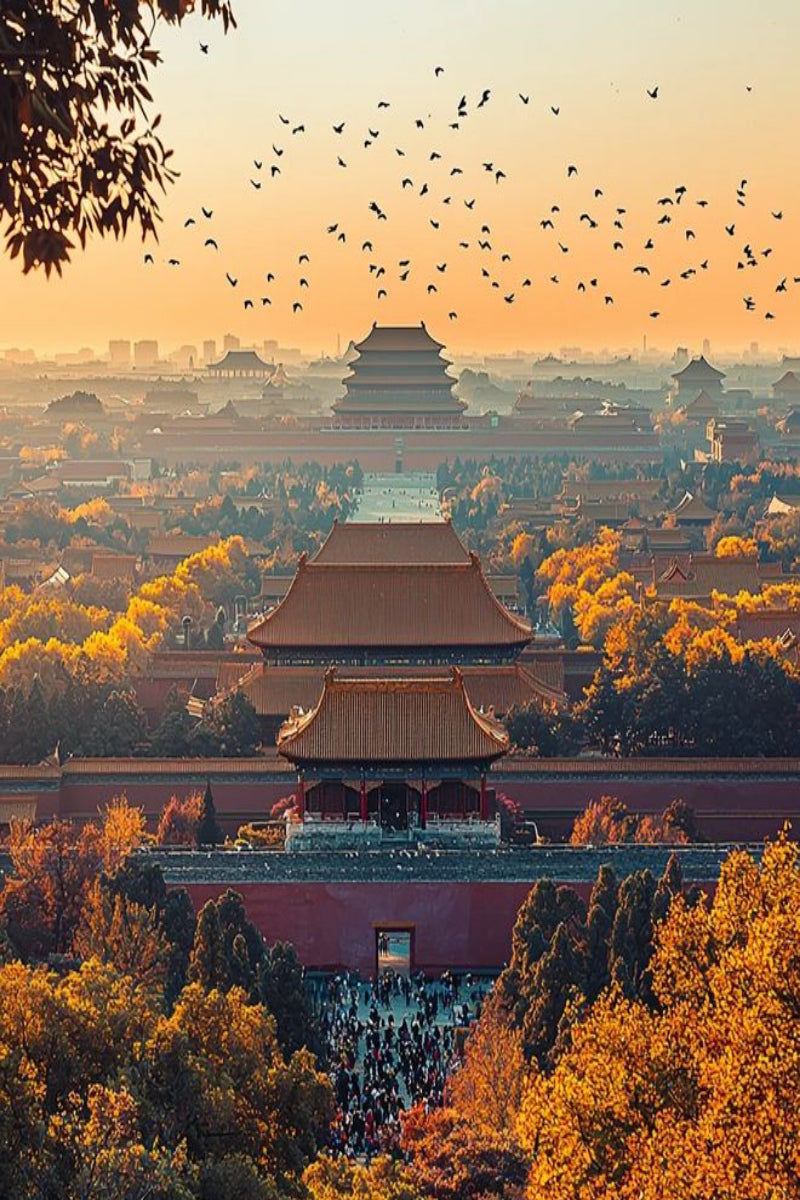 Classic China Cultural Discovery Tour - Beijing, Xi'an & Shanghai 9-Day Journey