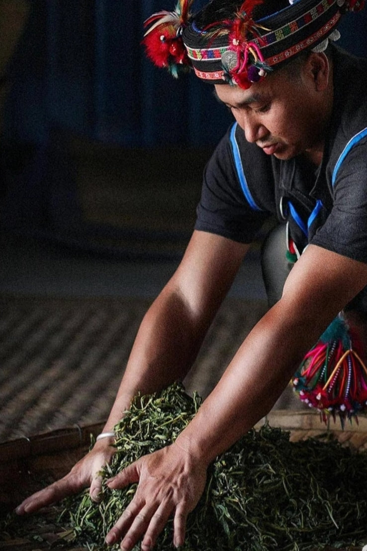 Ladder to the Moon: A Nine-Day Epic of Terraces and Ethnic Cultures