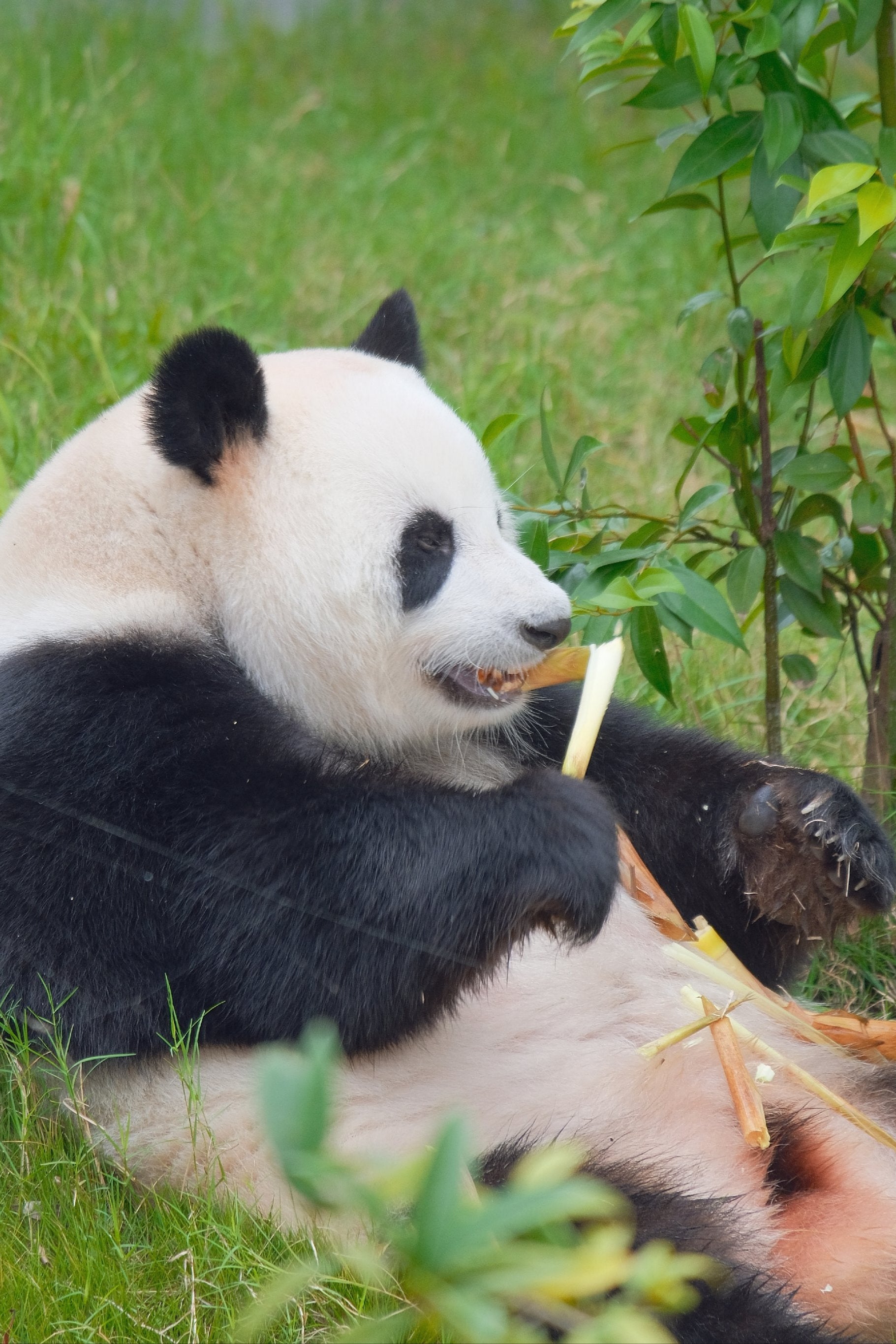 Unlock China's Hidden Wonders: A Journey from Ancient Capitals to Natural Paradise