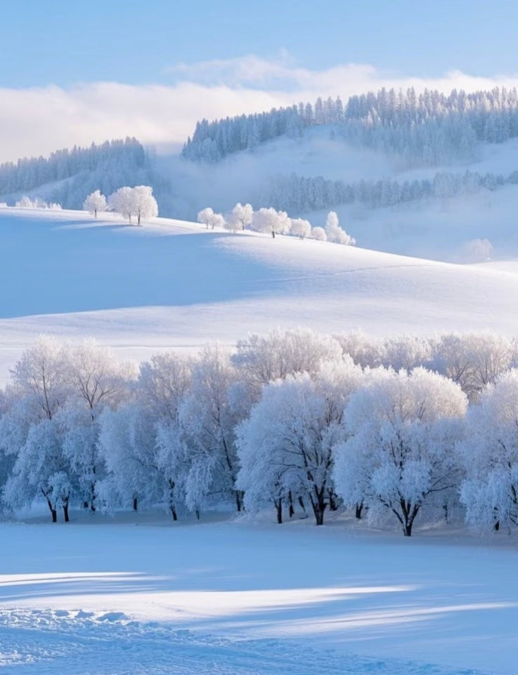 Snowbound Odyssey: The Ultimate Winter Luxury in China's Northeast