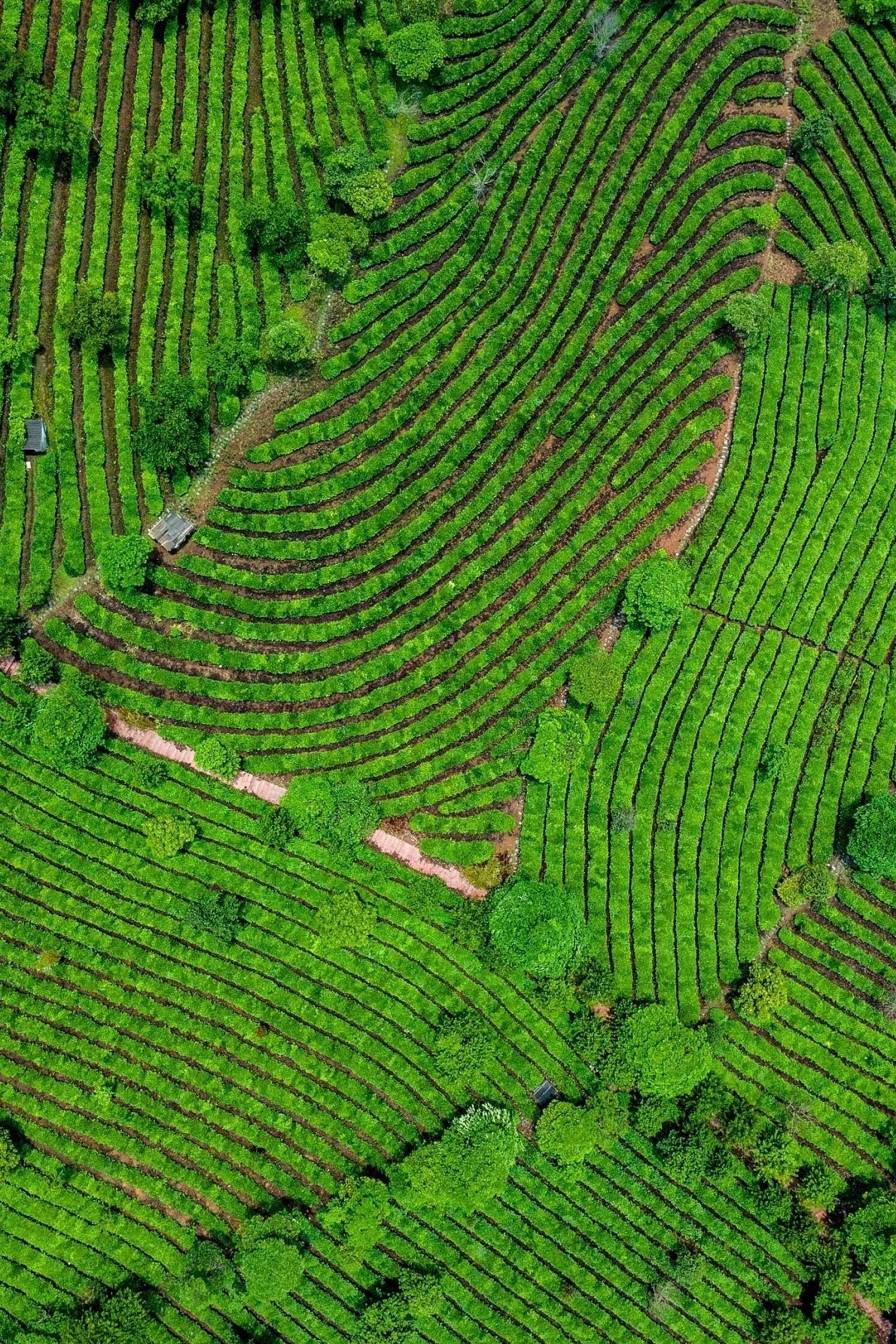 Yunnan: The Colorful Cloud Kingdom