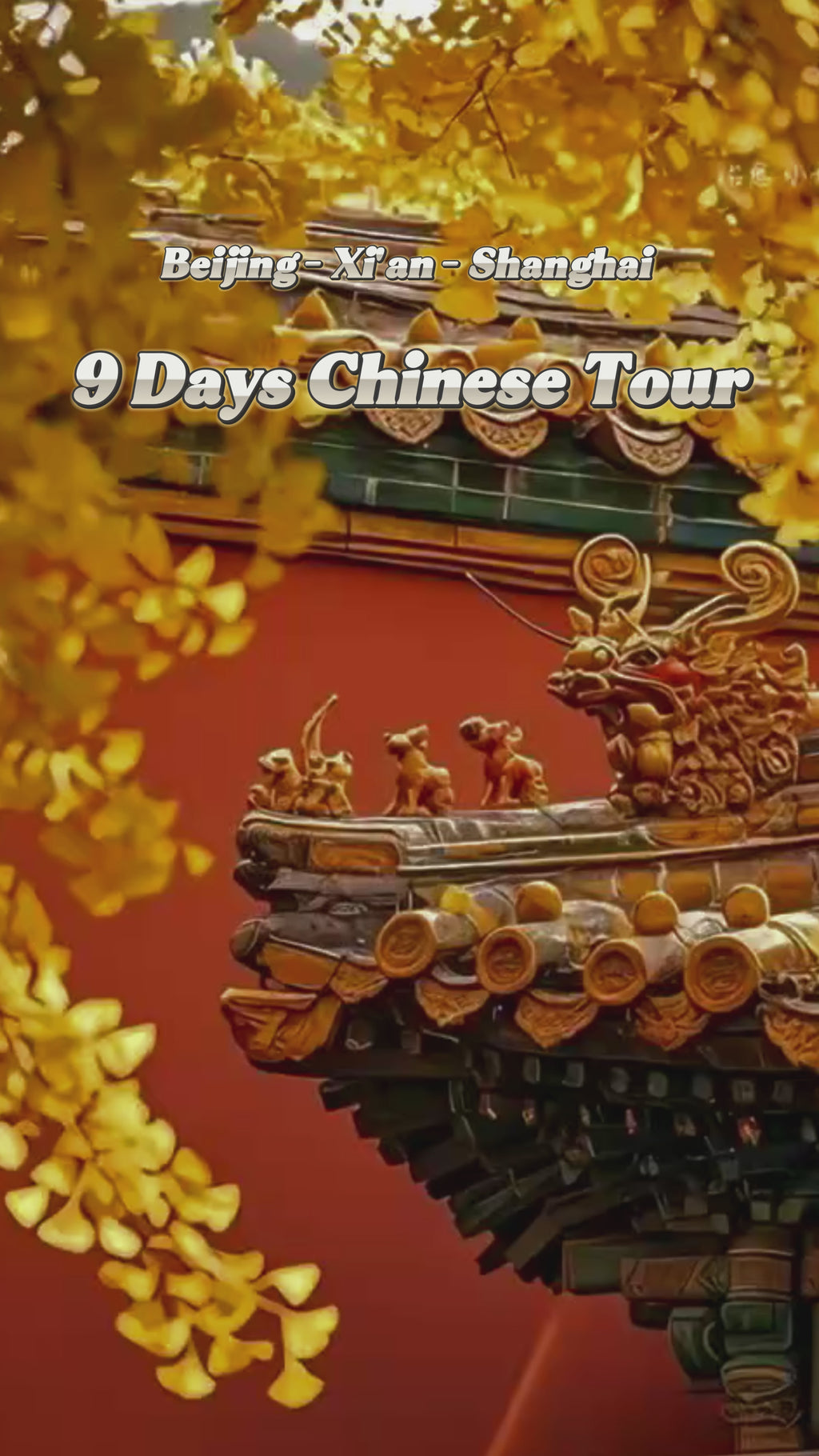 Classic China Cultural Discovery Tour - Beijing, Xi'an & Shanghai 9-Day Journey