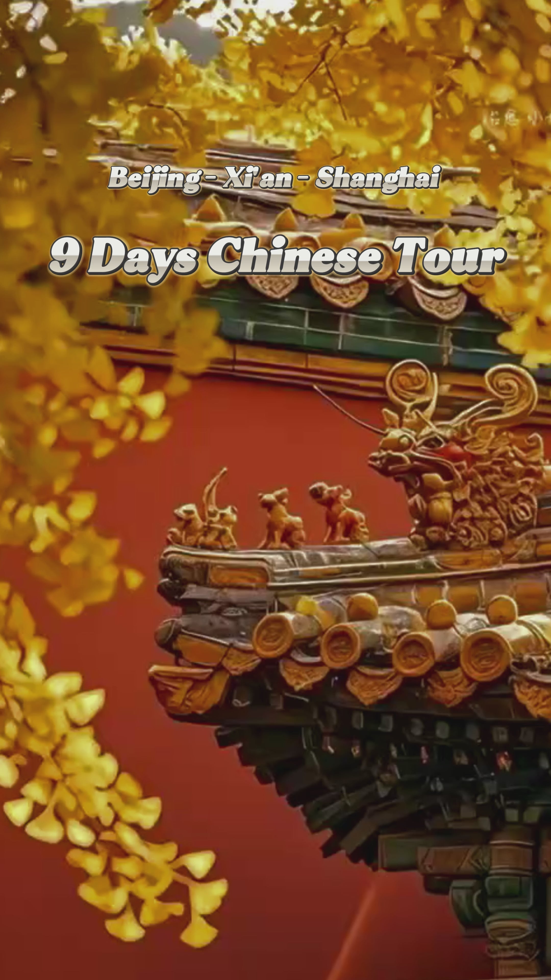 Classic China Cultural Discovery Tour - Beijing, Xi'an & Shanghai 9-Day Journey